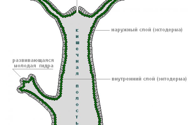 Клир ссылка на blacksprut bs2webes net