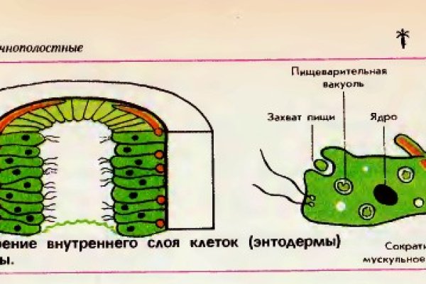 Как зарегистрировать аккаунт на блэк спруте