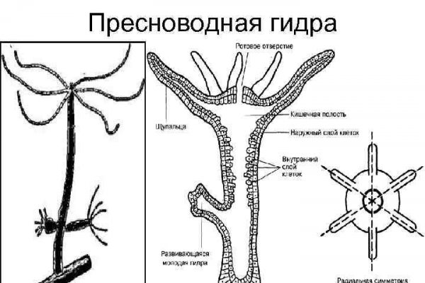 Зеркало blacksprut тор ссылка